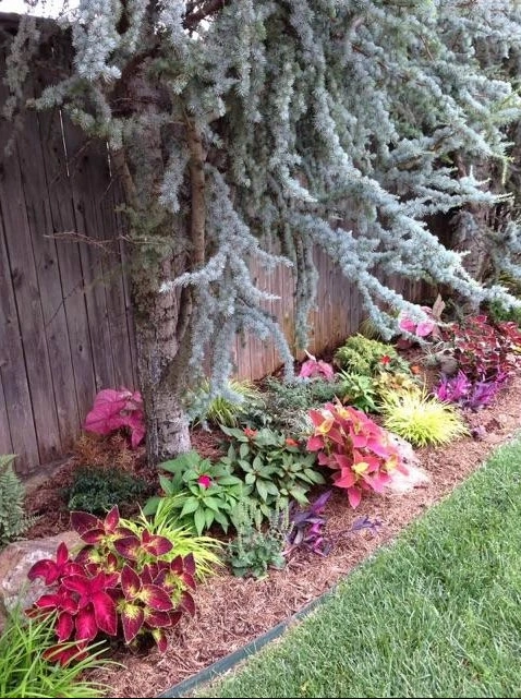 Small Wonders Landscape & Design, Llc - Photo 8