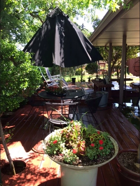 Small Wonders Landscape & Design, Llc - Photo 2
