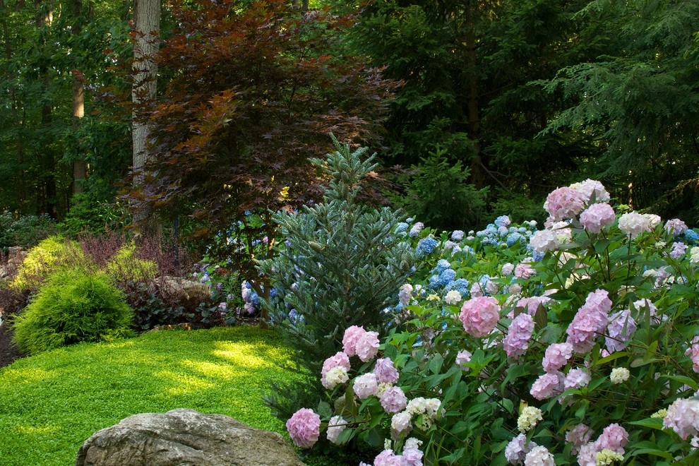 Hydrangea Wonderland! by Smalls Landscaping - Photo 2