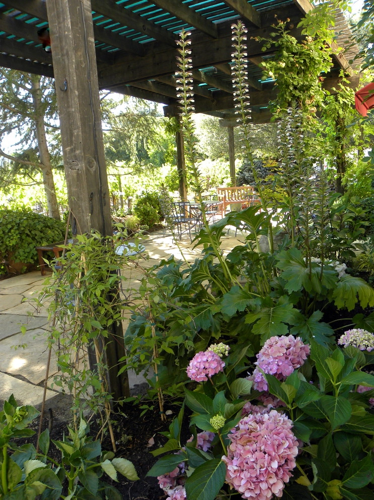 California Winery Benessere Vineyards by Smalls Landscaping - Photo 7