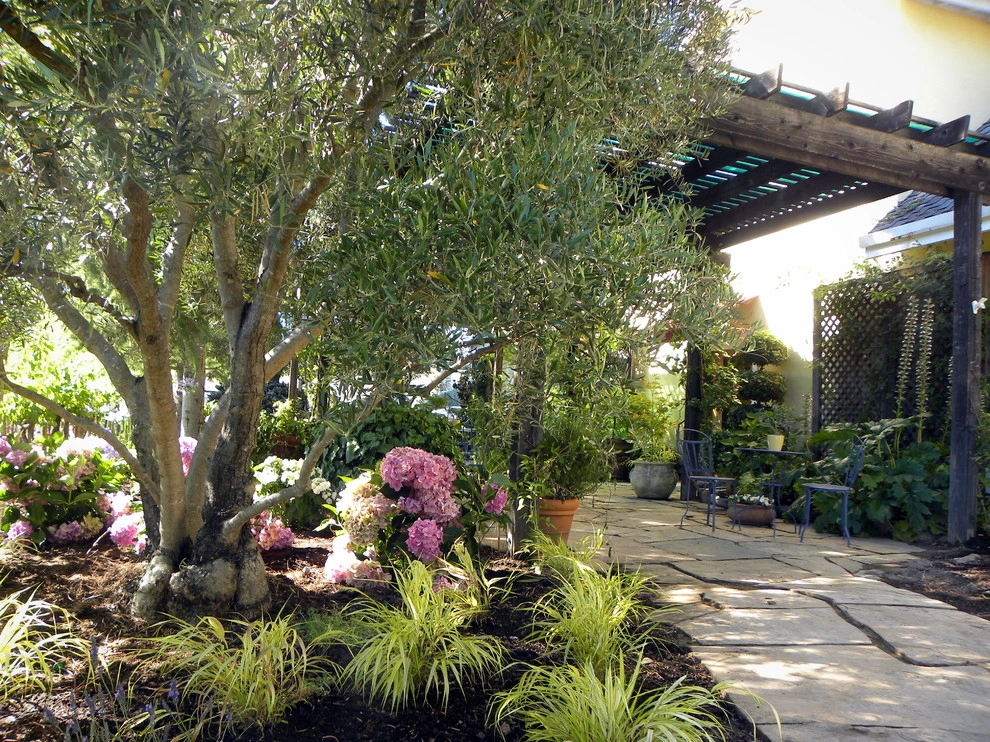 California Winery Benessere Vineyards by Smalls Landscaping - Photo 2