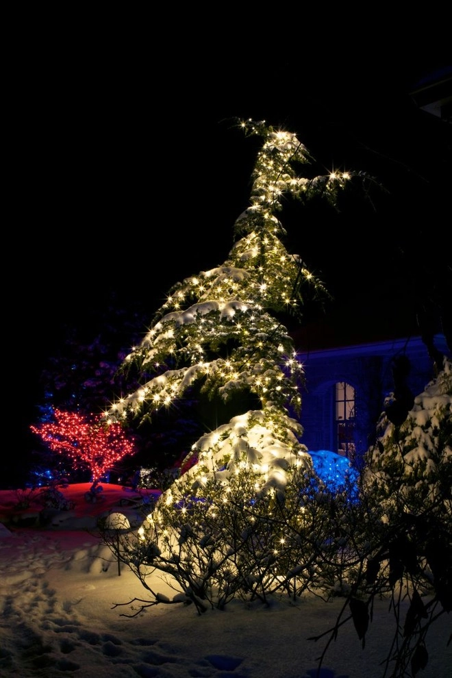 Holiday Marvels by Smalls Landscaping - Photo 18