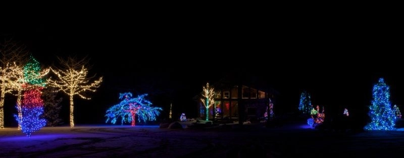 Holiday Marvels by Smalls Landscaping - Photo 14