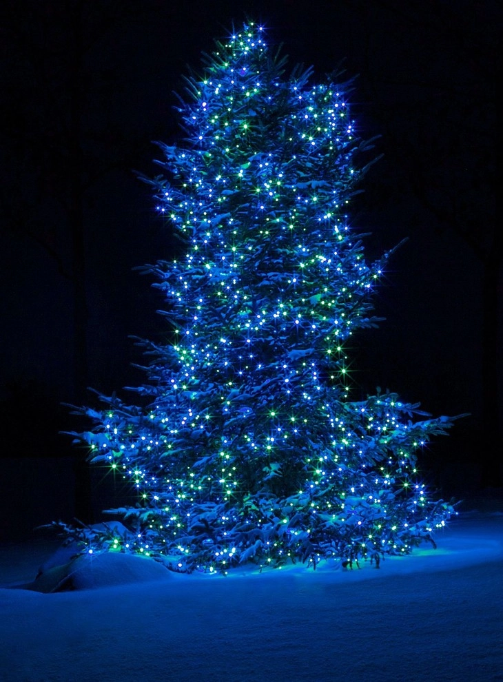 Holiday Marvels by Smalls Landscaping - Photo 3