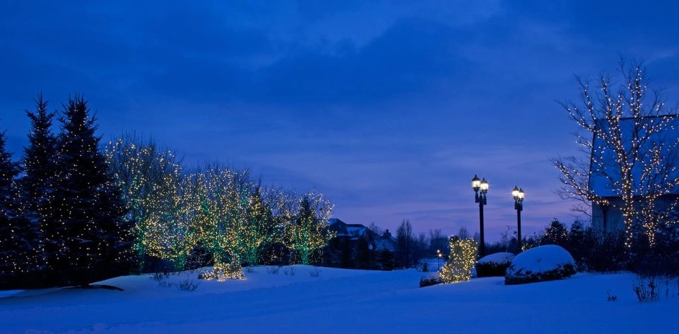 Holiday Marvels by Smalls Landscaping - Photo 10