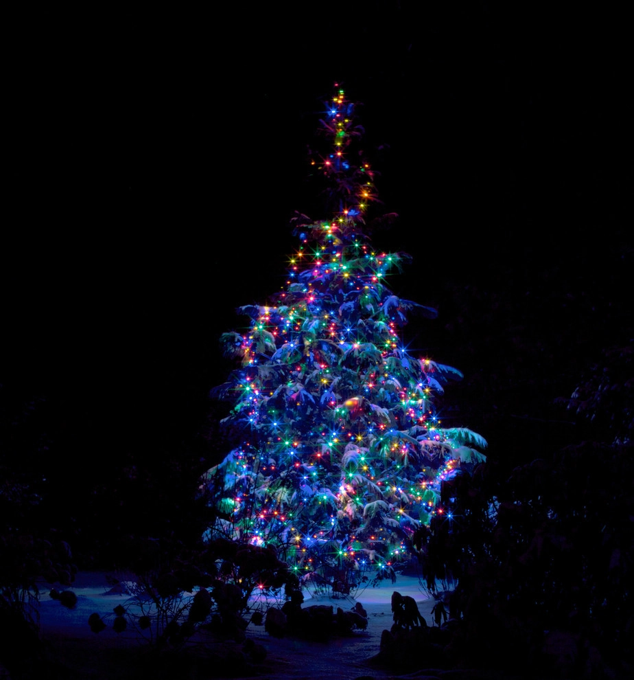 Holiday Marvels by Smalls Landscaping - Photo 6