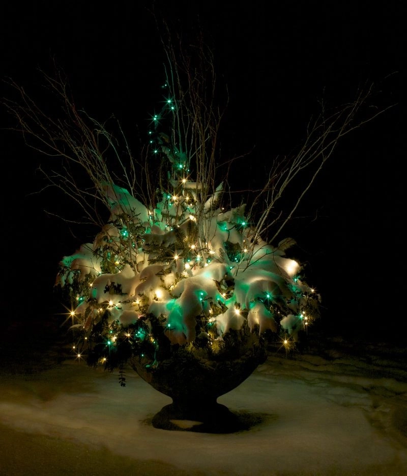 Holiday Marvels by Smalls Landscaping - Photo 5