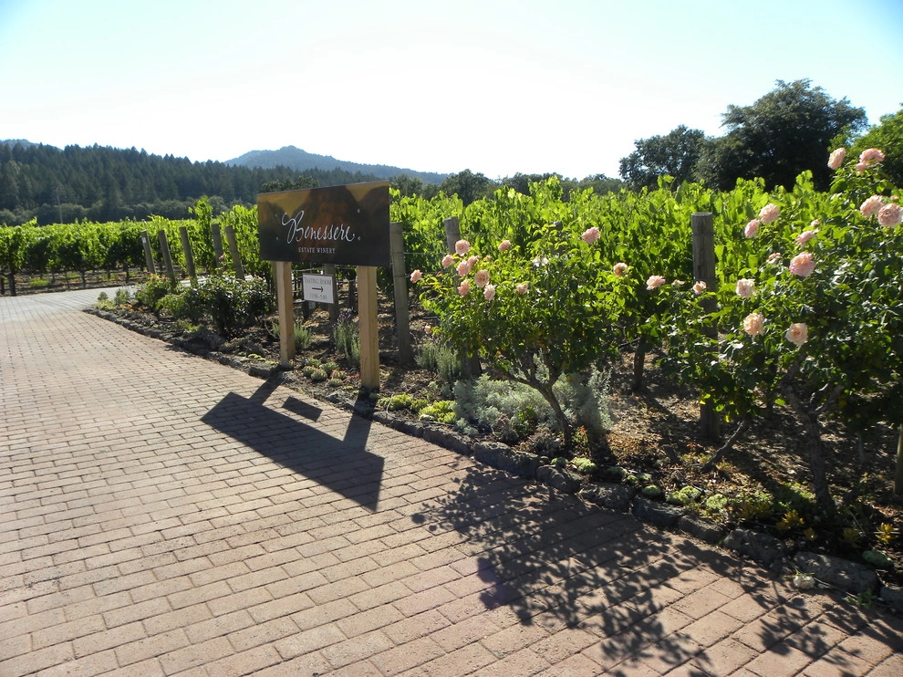 California Winery Benessere Vineyards by Smalls Landscaping - Photo 3