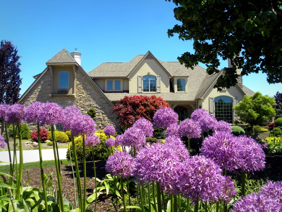 Creating enclosure and shade with Landscaping by Smalls Landscaping - Photo 8