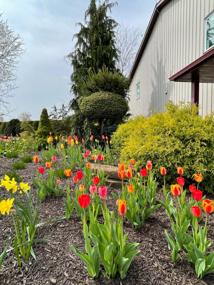 Specific Unique Flowers by Smalls Landscaping - Photo 6