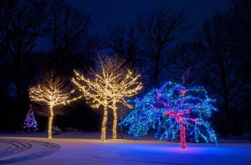 Holiday Marvels by Smalls Landscaping - Photo 19