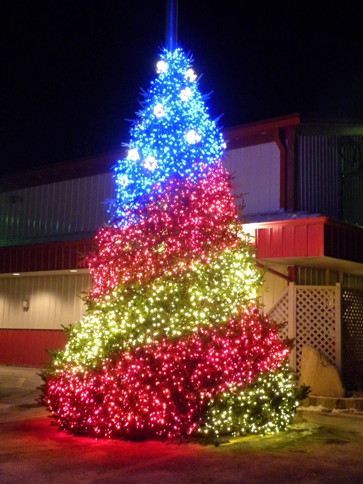 Holiday Marvels by Smalls Landscaping - Photo 11
