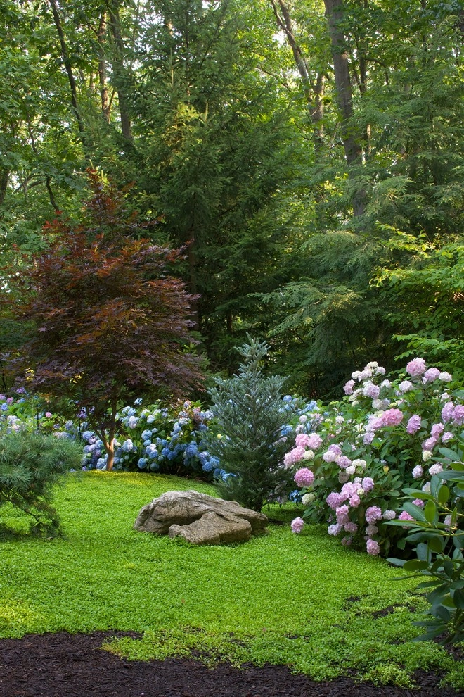 Hydrangea Wonderland! by Smalls Landscaping - Photo 3