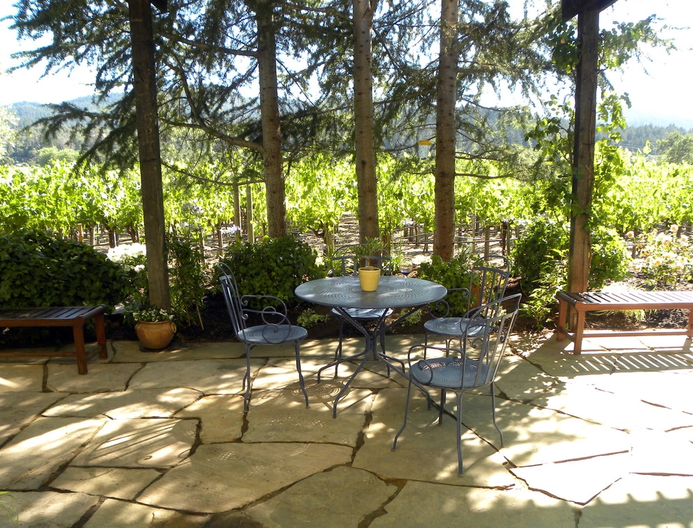 California Winery Benessere Vineyards by Smalls Landscaping - Photo 6