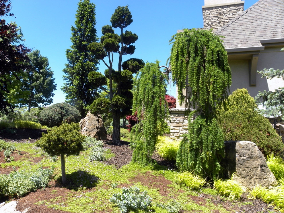 Creating enclosure and shade with Landscaping by Smalls Landscaping - Photo 4