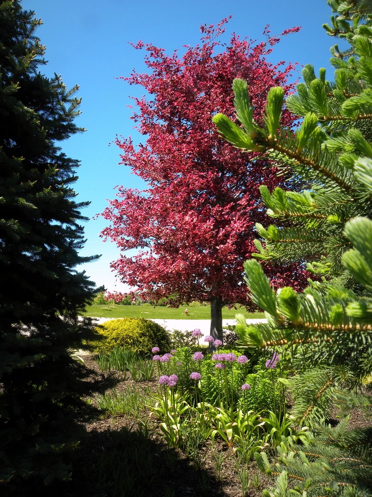 Creating enclosure and shade with Landscaping by Smalls Landscaping - Photo 10