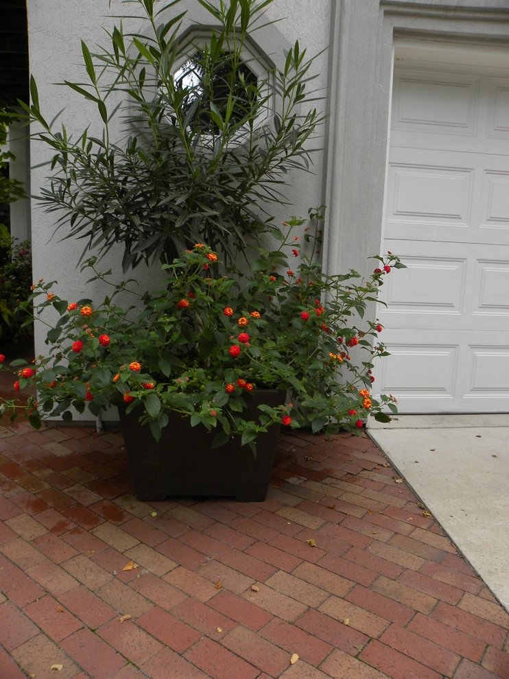Lake Michigan Tropical Sanctuary by Smalls Landscaping - Photo 2