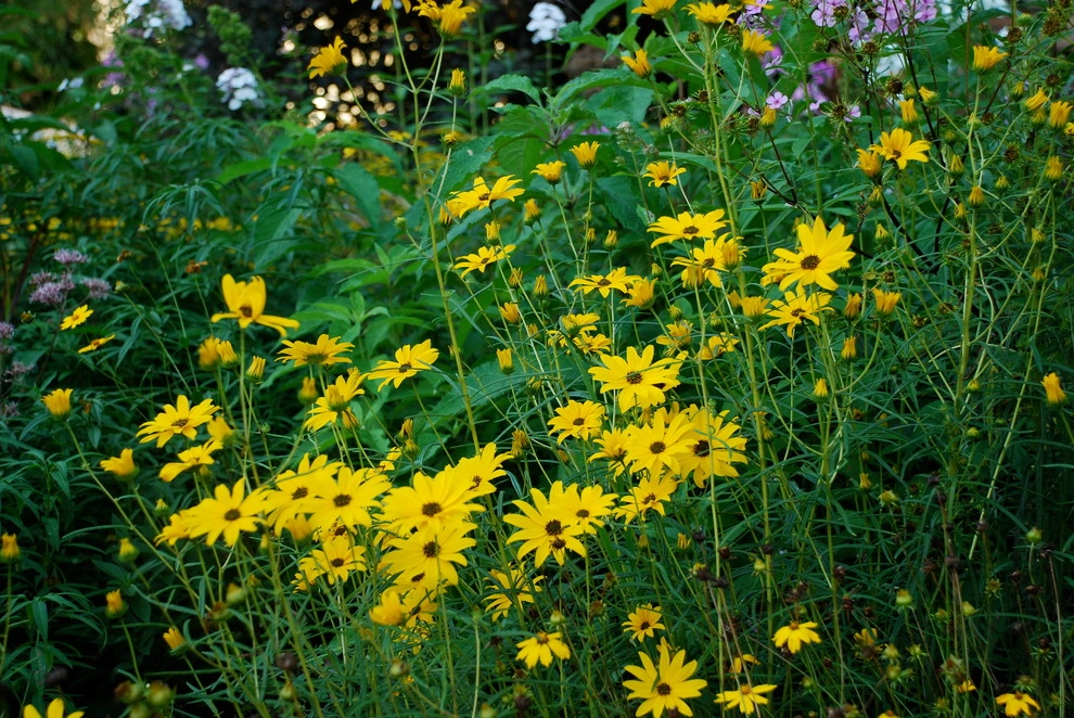 Gardens by Snow Creek Landscaping, LLC - Photo 4