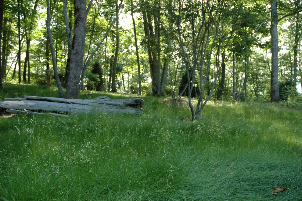 No Mow lawns by Snow Creek Landscaping, LLC - Photo 2