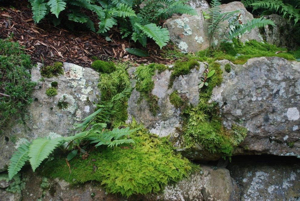 Stonework by Snow Creek Landscaping, LLC - Photo 2