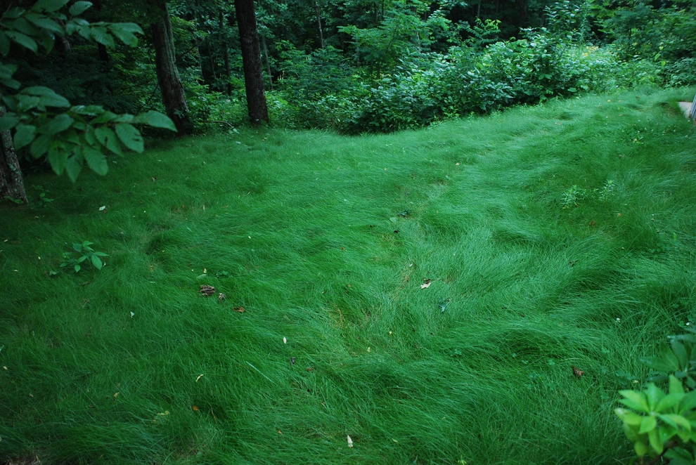 Snow Creek Landscaping, LLC - Photo 5