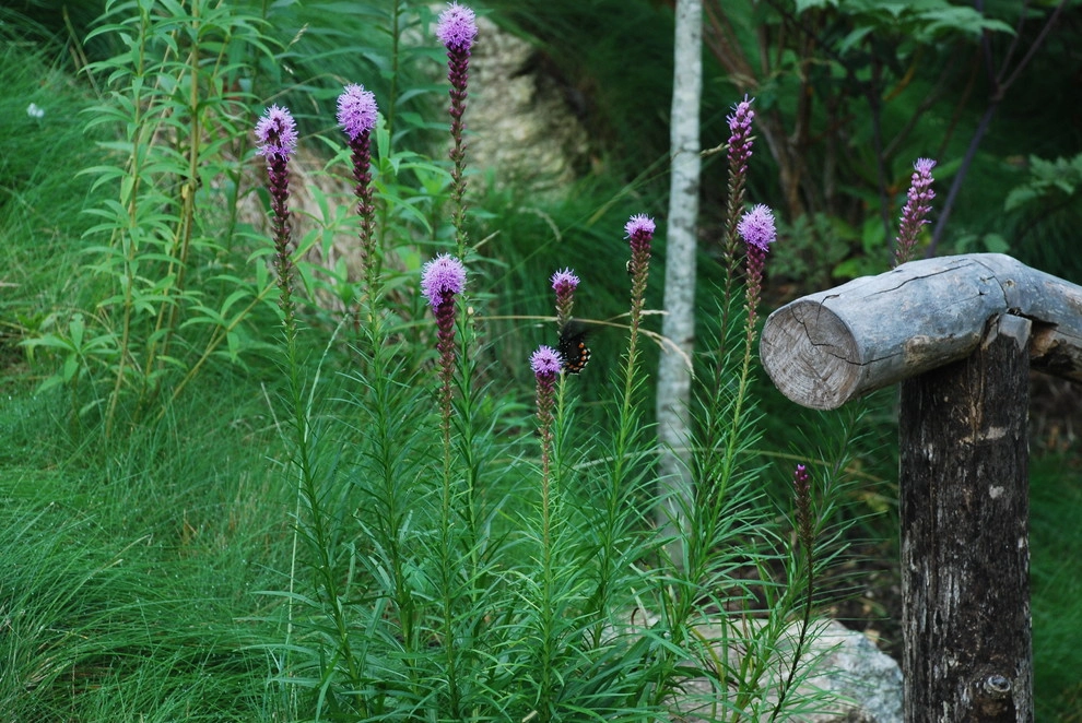 Gardens by Snow Creek Landscaping, LLC - Photo 5