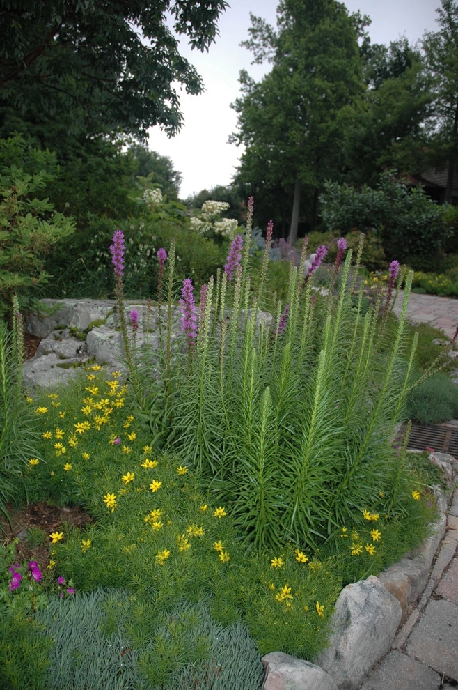 Gardens by Snow Creek Landscaping, LLC - Photo 6