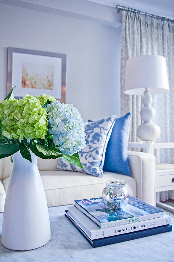 Transitional Living Room in the Upper East Side by DLT Interiors-Debbie Travin - Photo 9