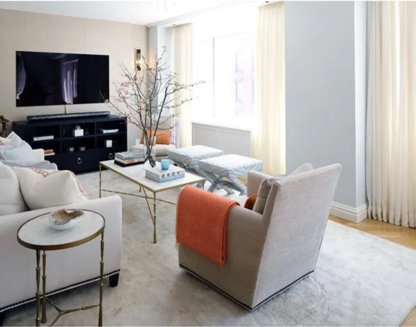 Transitional Living Room in the Upper East Side by DLT Interiors-Debbie Travin - Photo 4