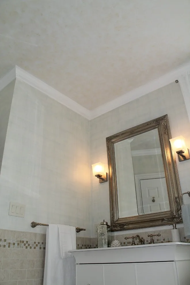 Vanguard Designer Showhouse 2016 Primary Bathroom by Starlily Design Studio LLC - Photo 10