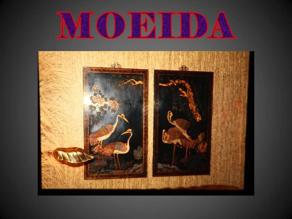 Moeida - Photo 11
