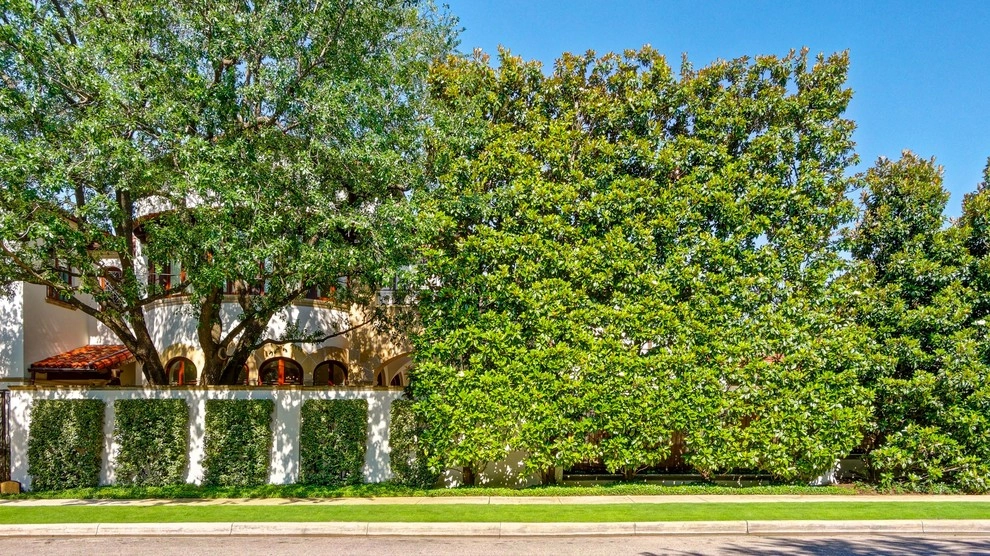 Southern Botanical, Inc. - Photo 2