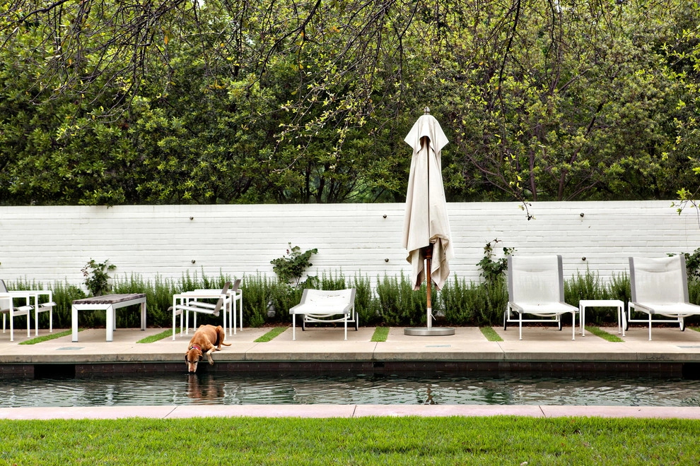 Sleek Modern Landscape by Southern Botanical, Inc. - Photo 3