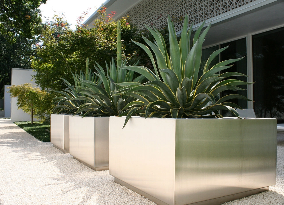 Modern Dallas Property by Southern Botanical, Inc. - Photo 5