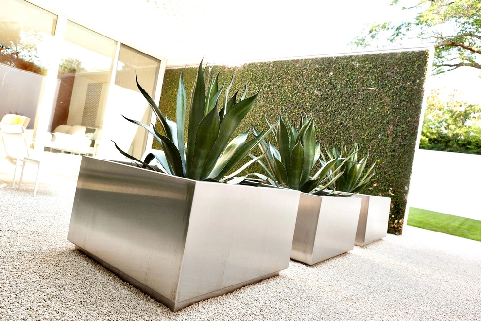Southern Botanical, Inc. - Photo 7