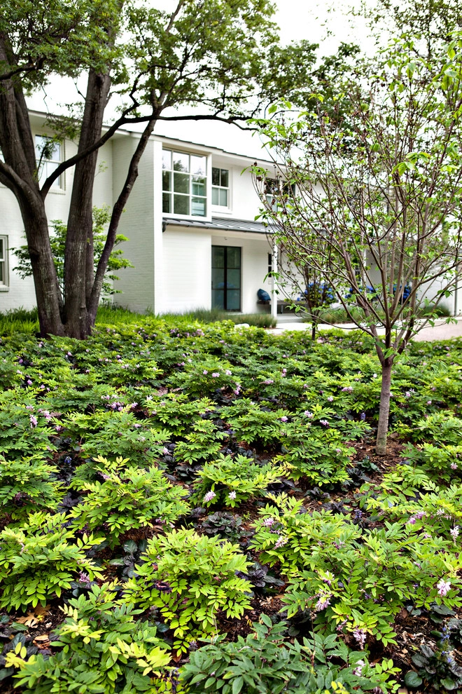 Sleek Modern Landscape by Southern Botanical, Inc. - Photo 2