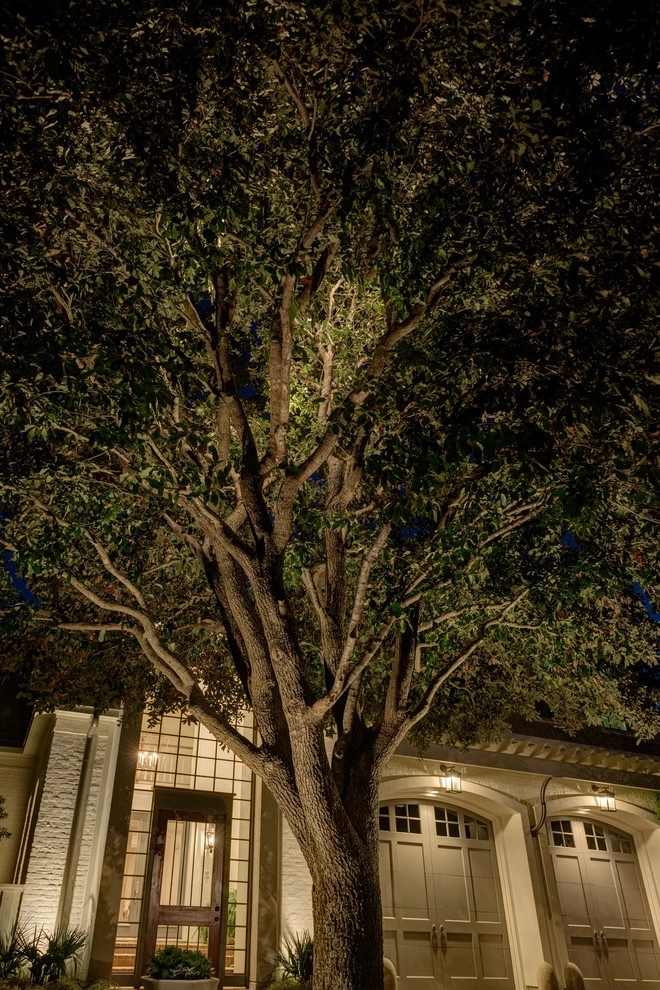 Landscape Lighting by Southern Botanical, Inc. - Photo 7