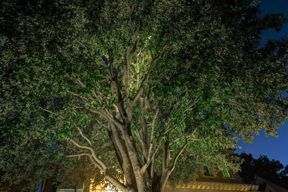 Landscape Lighting by Southern Botanical, Inc. - Photo 5