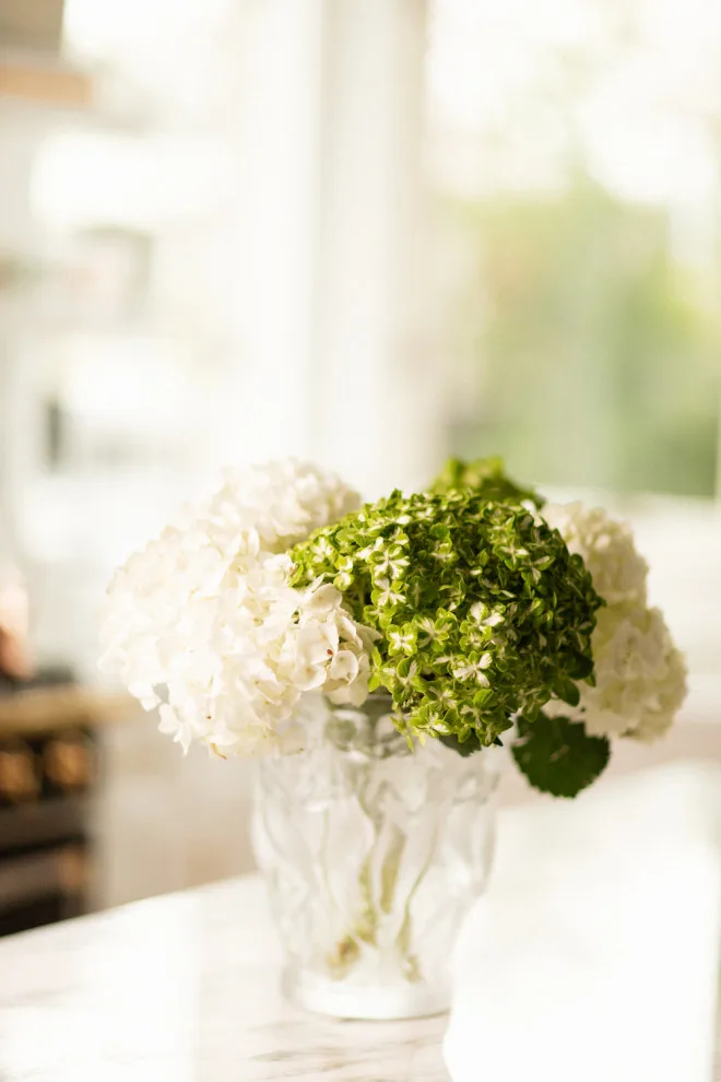 Annie Street West Kitchen by Patrice Nichole Studio - Photo 10