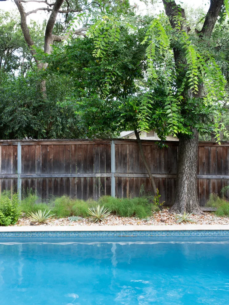 Westwood Terrace Renovation by Urbane Design - Photo 8
