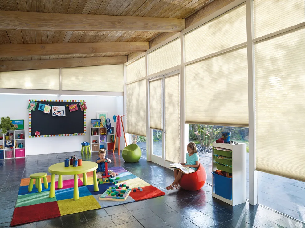 Comprehensive Designs with Window Treatments by K LINN Interiors - Photo 11