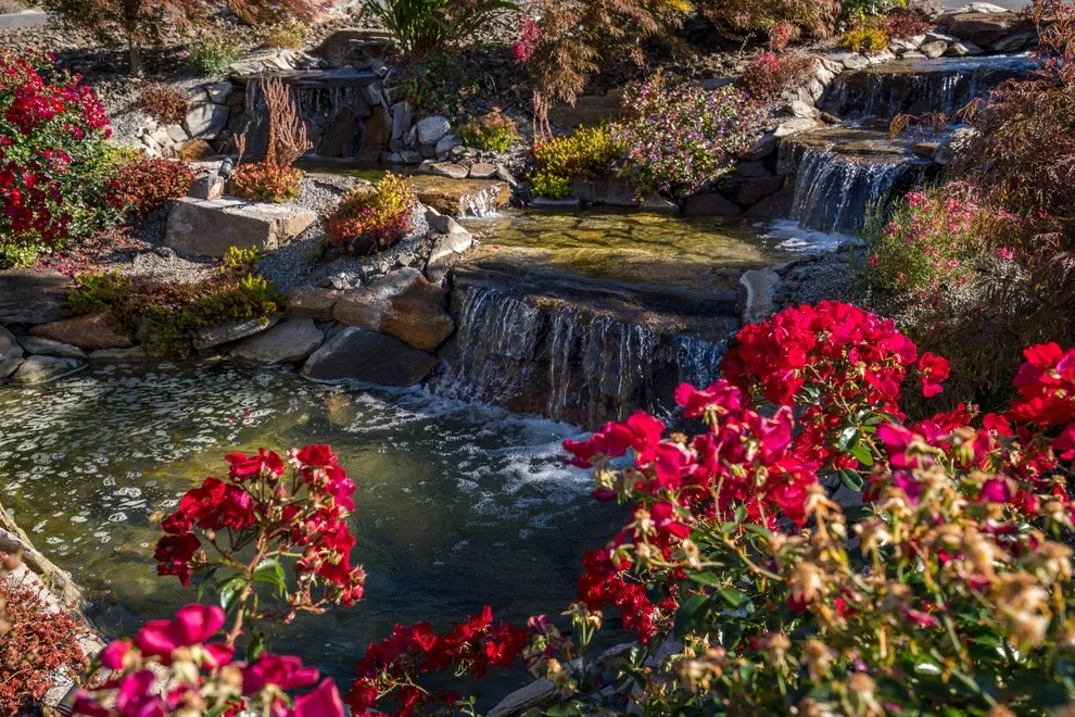 Outdoor Photography by Forte Architects - Photo 6