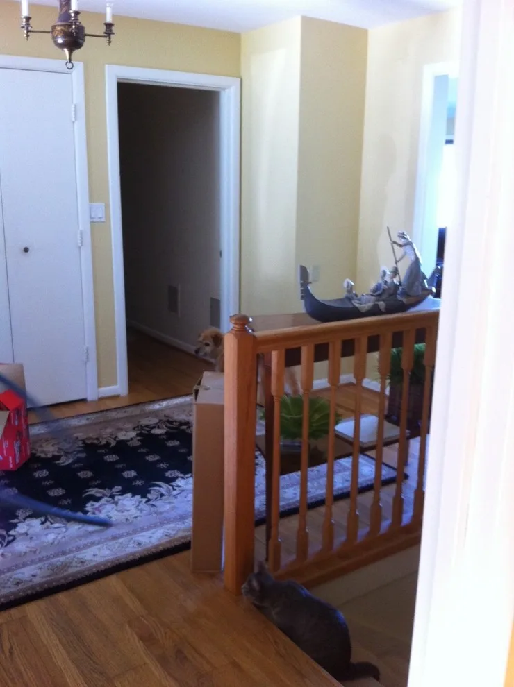 West Bay Renovation - Enhancing Perspectives by Marty Rhein, CKD, CBD - BAC Design Group - Photo 7