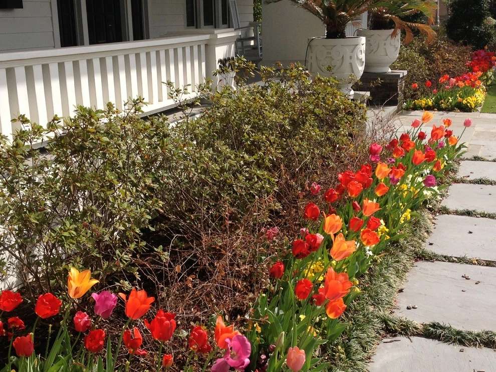Highland Park, TX - Craftsman Landscape by Star Of Texas Landscape - Photo 12