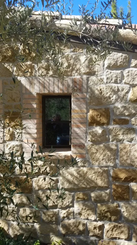 Compilation by Tom Meaney Architect, AIA - Photo 19