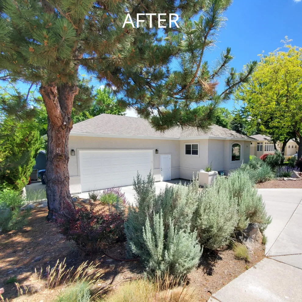 Morning Side Expansion Boise ID by Amanda Ryan Designs, LLC - Photo 3