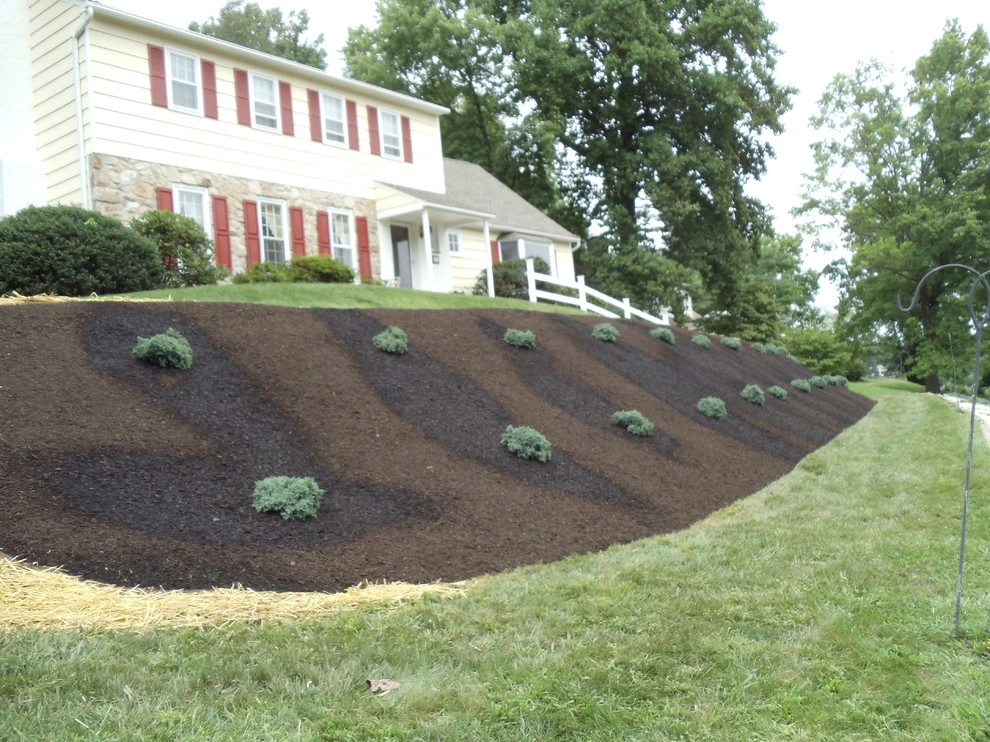 Lawn Maintenance & Planting Services by Steve Greco Landscaping, Inc. - Photo 8