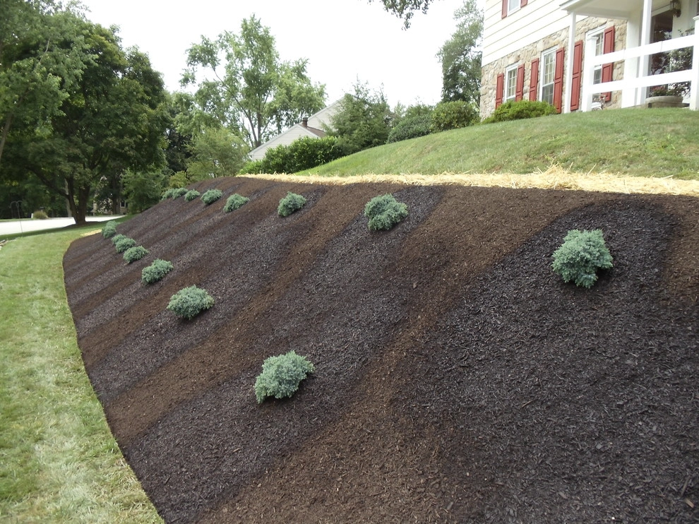 Lawn Maintenance & Planting Services by Steve Greco Landscaping, Inc. - Photo 6