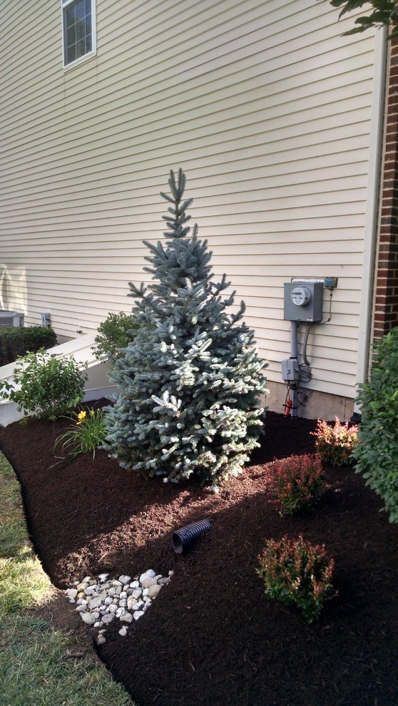 Lawn Maintenance & Planting Services by Steve Greco Landscaping, Inc. - Photo 20