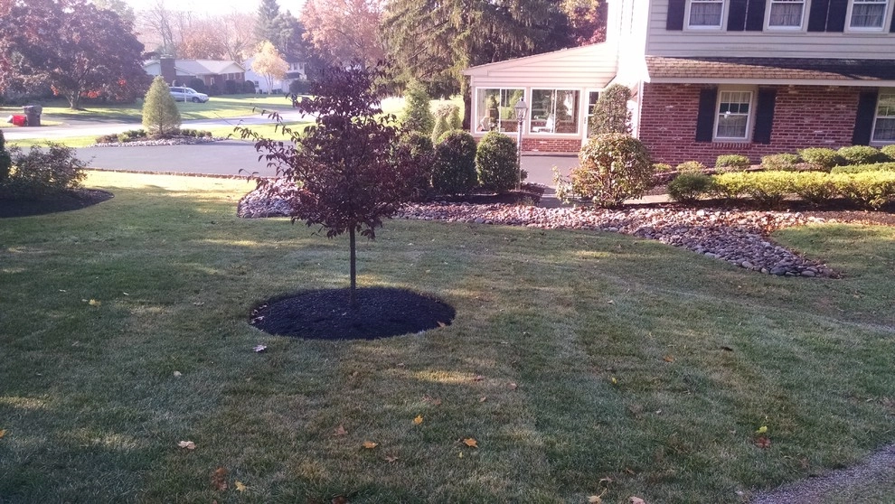 Tree Planting by Steve Greco Landscaping, Inc. - Photo 2